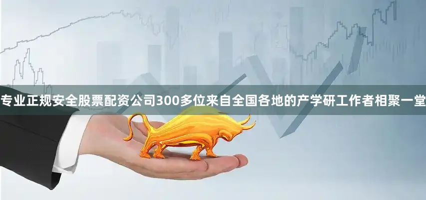专业正规安全股票配资公司300多位来自全国各地的产学研工作者相聚一堂