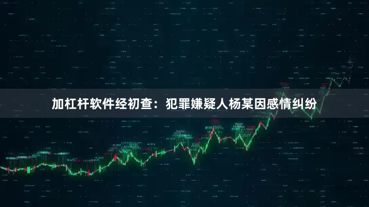 加杠杆软件经初查：犯罪嫌疑人杨某因感情纠纷