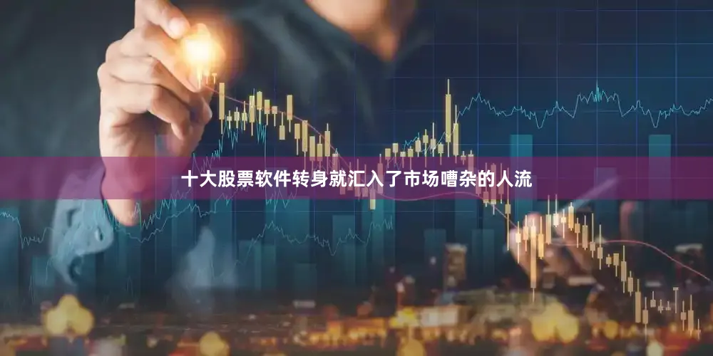 十大股票软件转身就汇入了市场嘈杂的人流