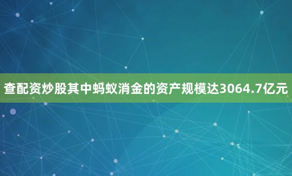 查配资炒股其中蚂蚁消金的资产规模达3064.7亿元